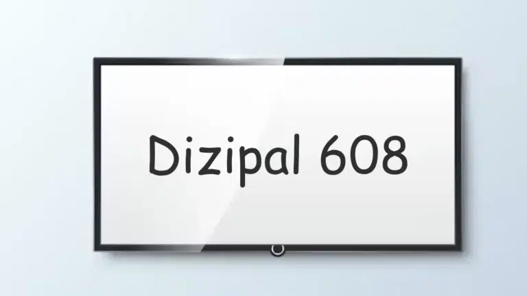 Dizipal 608