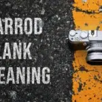 Harrod Blank Meaning