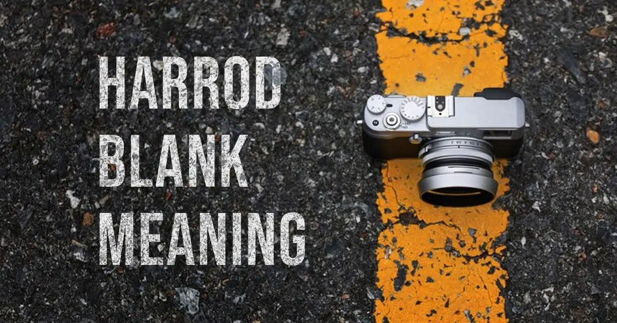 Harrod Blank Meaning