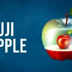 fuji apple